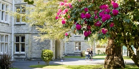 HSU Bournemouth Trees